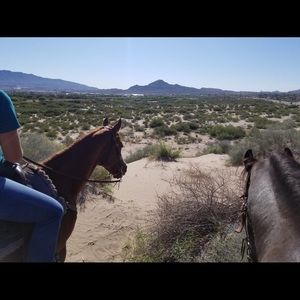 Meet your Posher, Simone